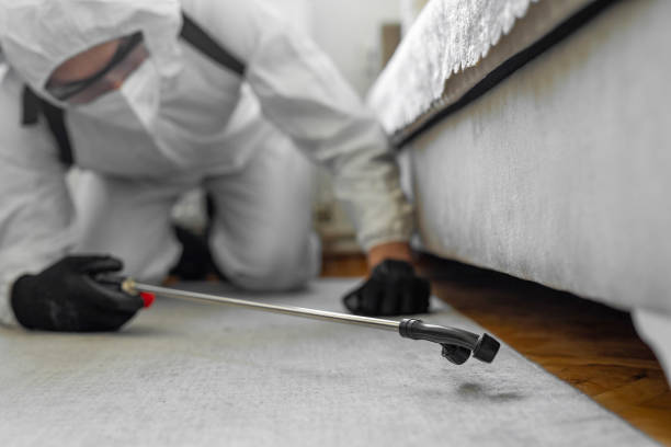Professional Bed Bug Control technician working in Stansbury Park, UT