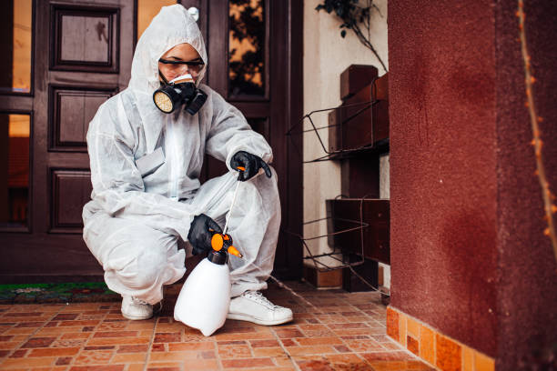 Reliable Bed Bug Control contractor in Stansbury Park, UT by Nex Pest Control