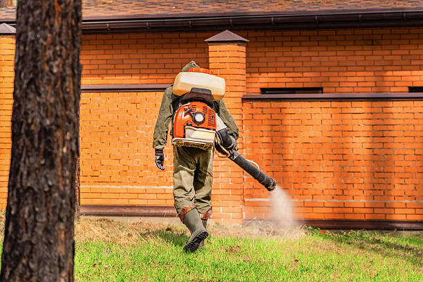 Trusted Cockroach Control service in Stansbury Park, UT - Nex Pest Control